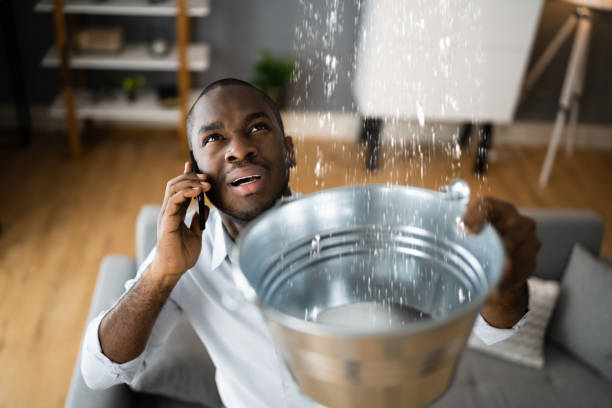 Best Professional water damage repair  in Hawley, MN
