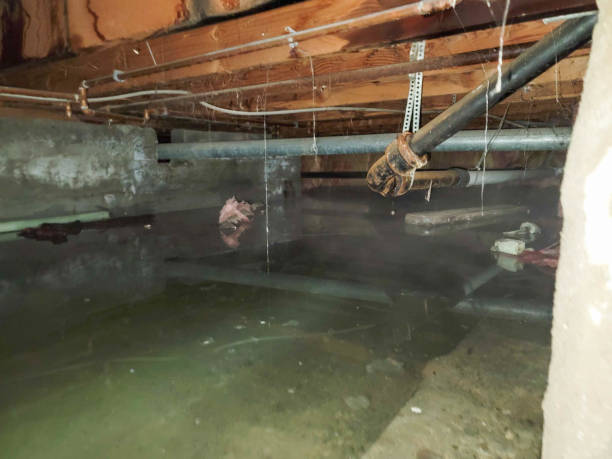 Best 24-hour water damage restoration  in Hawley, MN