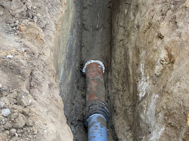 Best Flood damage cleanup  in Hawley, MN