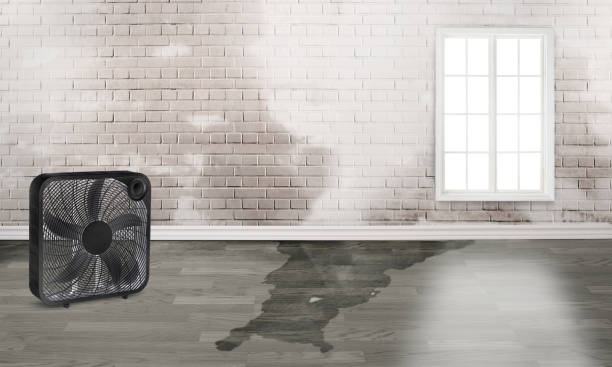 Best 24-hour water damage restoration  in Hawley, MN