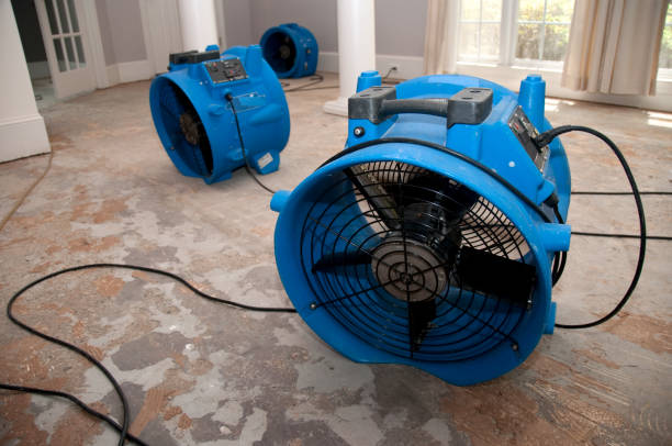 Trusted Hawley, MN Water damage restoration Experts