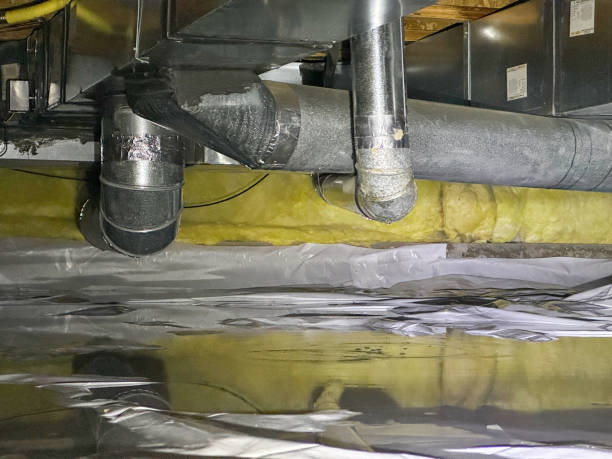 Best Ceiling water damage repair  in Hawley, MN
