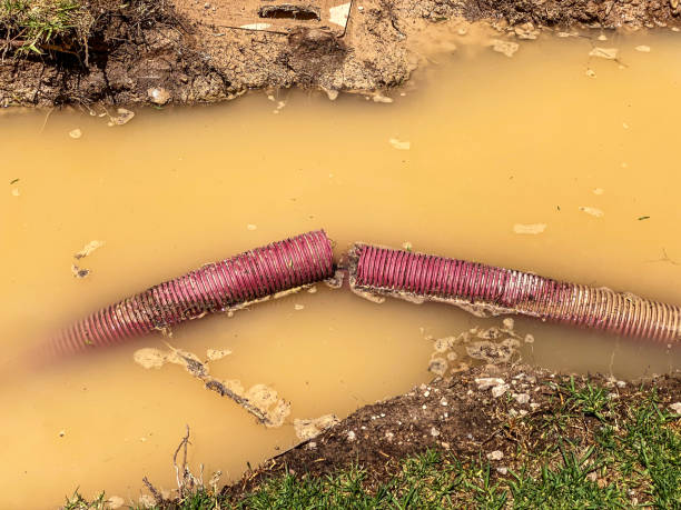 Best Water damage restoration experts  in Hawley, MN